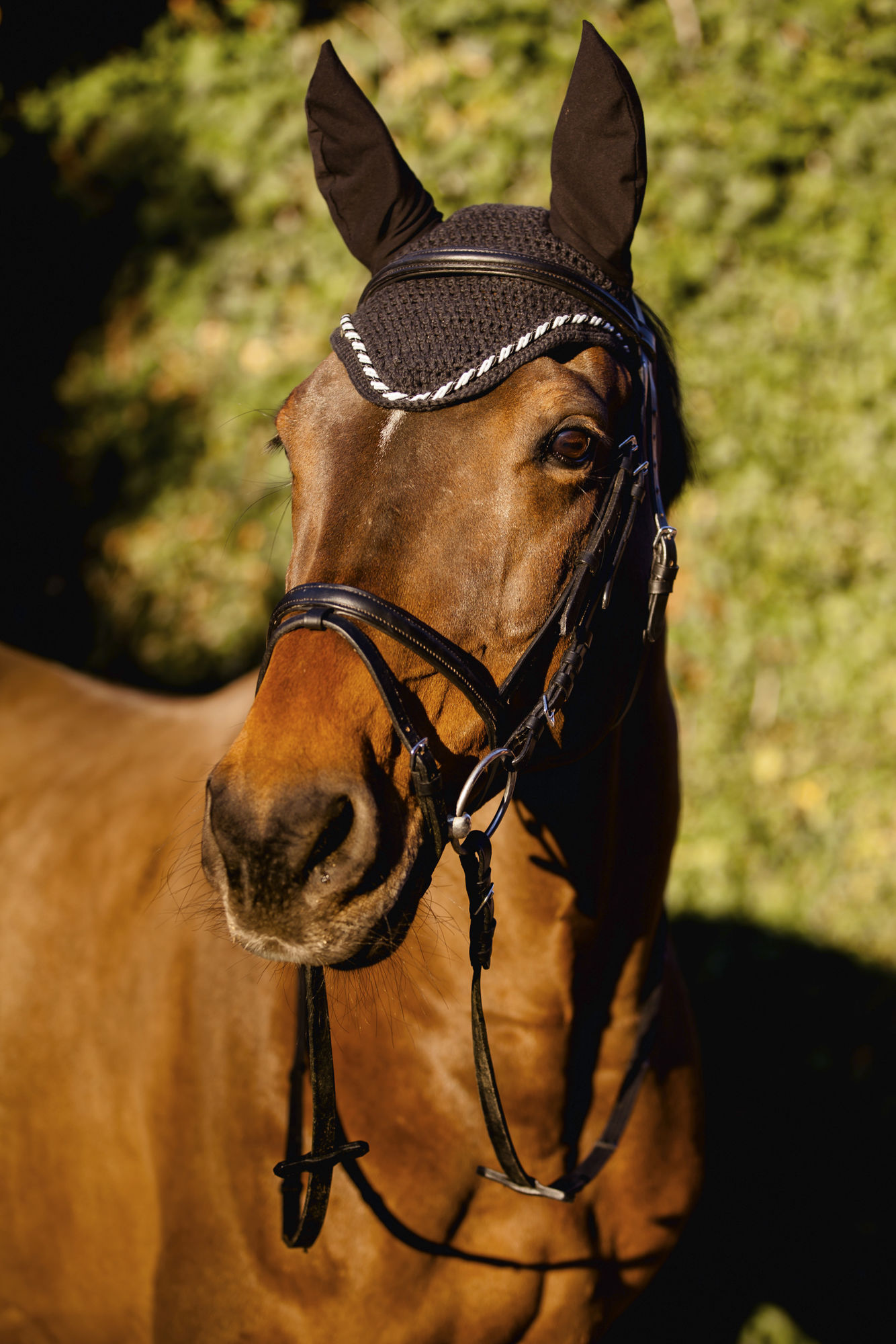 Bonnet D’oreilles Butet Noir Pour Cheval – Voile Mouche Avec Logo Bronze