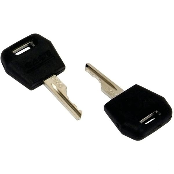 5 pièces Clés d'allumage D250 Clé de démarrage pour tracteur chargeur Case IH 1964831C2 D250 1964831C2 pour 2344, 2366, 2377, 2388, 2577, 2588